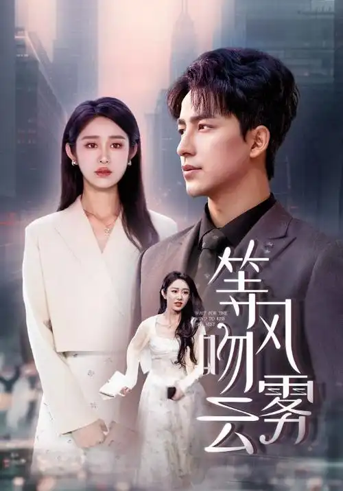 归港 热播电视剧全集手机免费在线观看